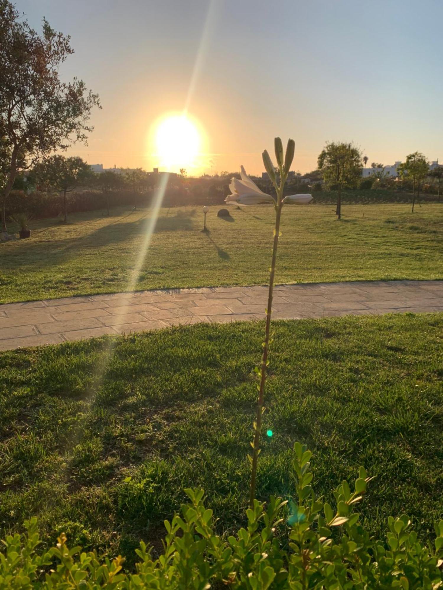 Masseria Capece Uggiano La Chiesa Esterno foto